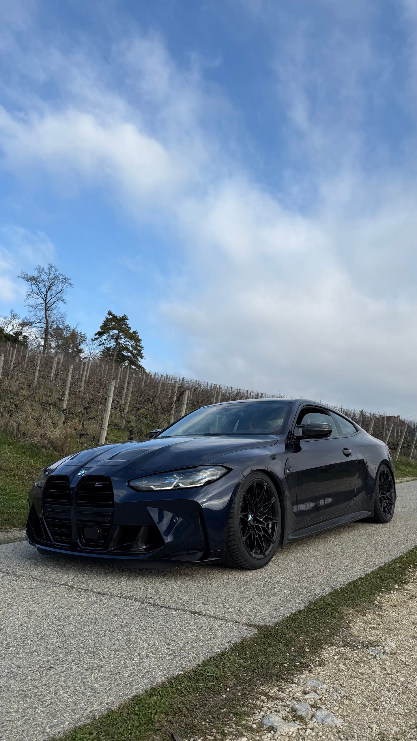 BMW M4 G82 - BC Racing Type BR Gewindefahrwerk